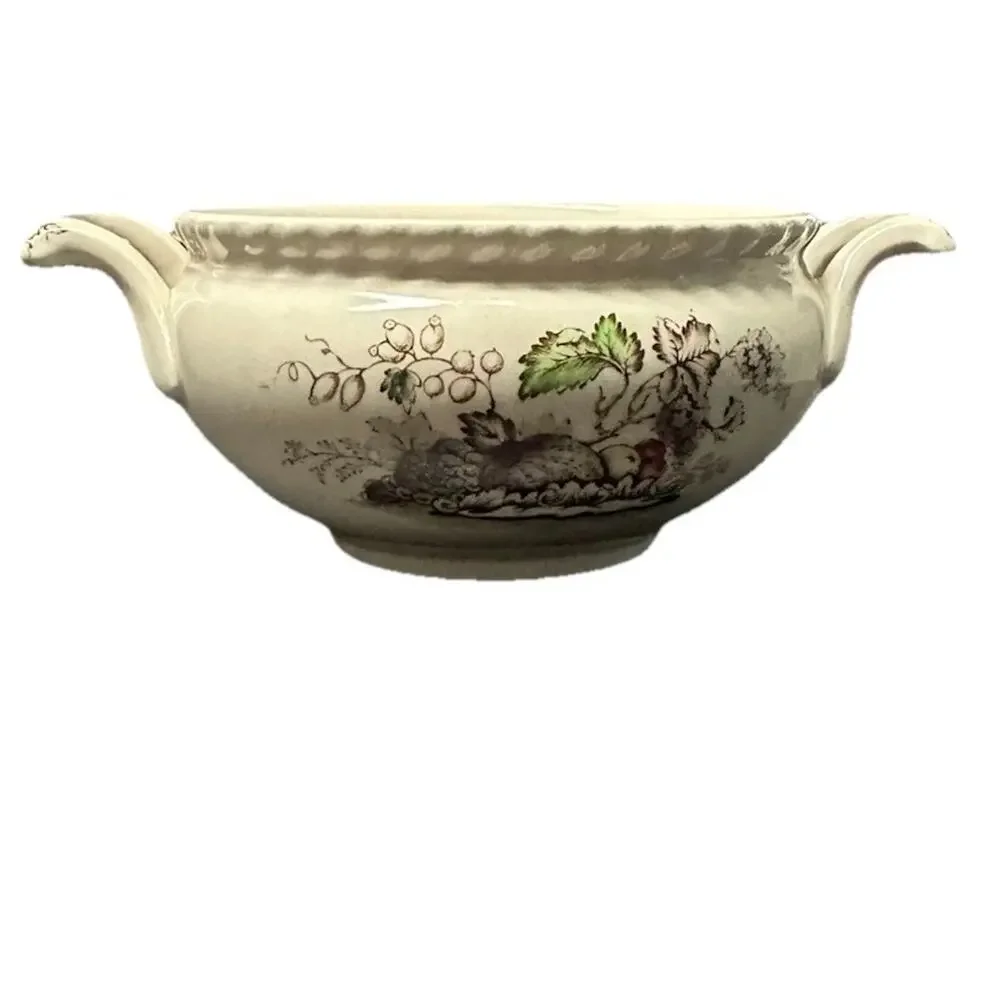Vintage Johnson Brothers Bird of Paradise Sugar Bowl Two Handle England 5.5in